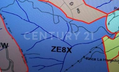 VENDO MEGALOTE EN CENTRO LOGISTICO PRIMAVERA CALDAS