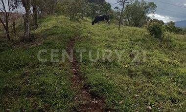 VENDO MEGALOTE EN CENTRO LOGISTICO PRIMAVERA CALDAS