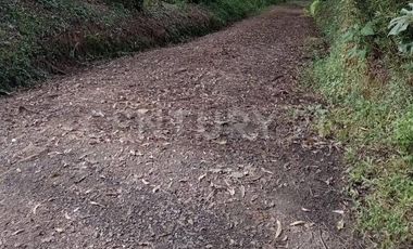 VENDO MEGALOTE EN CENTRO LOGISTICO PRIMAVERA CALDAS