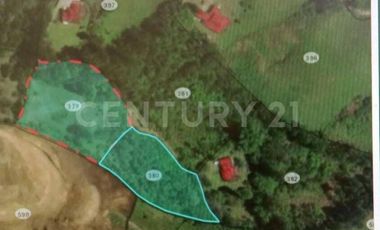 VENDO MEGALOTE EN CENTRO LOGISTICO PRIMAVERA CALDAS