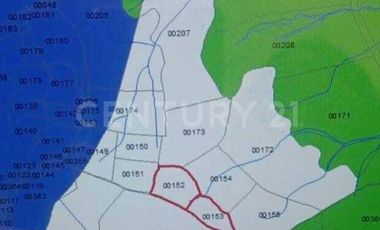 VENDO MEGALOTE EN CENTRO LOGISTICO PRIMAVERA CALDAS