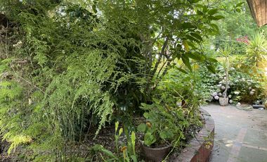 Cómoda casa con 4 dormitorios más pieza de servicio.