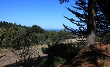 Inversión Única en Alto Punta de Lobos
