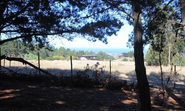 Inversión Única en Alto Punta de Lobos