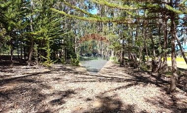 Inversión Única en Alto Punta de Lobos