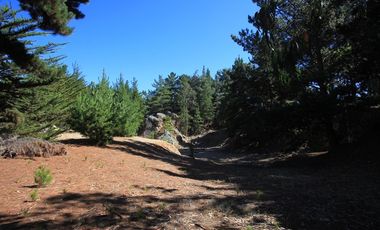 Inversión Única en Alto Punta de Lobos