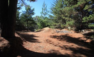 Inversión Única en Alto Punta de Lobos