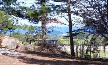 Inversión Única en Alto Punta de Lobos