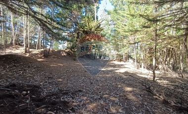 Inversión Única en Alto Punta de Lobos