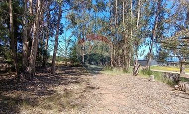 Inversión Única en Alto Punta de Lobos