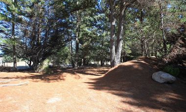 Inversión Única en Alto Punta de Lobos