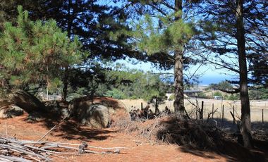 Inversión Única en Alto Punta de Lobos