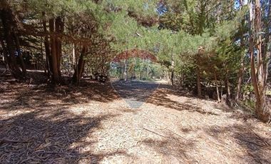 Inversión Única en Alto Punta de Lobos