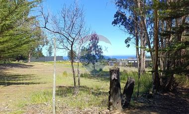 Inversión Única en Alto Punta de Lobos