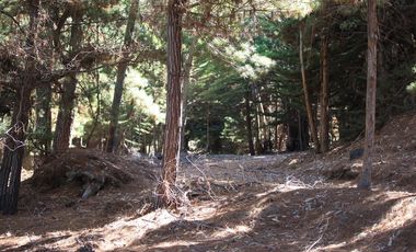 Inversión Única en Alto Punta de Lobos