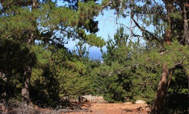 Inversión Única en Alto Punta de Lobos