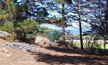 Inversión Única en Alto Punta de Lobos