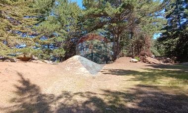 Inversión Única en Alto Punta de Lobos