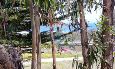 Inversión Única en Alto Punta de Lobos