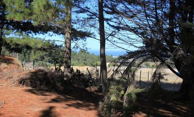 Inversión Única en Alto Punta de Lobos