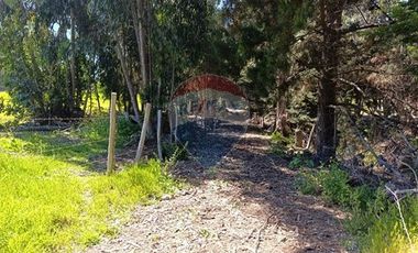 Inversión Única en Alto Punta de Lobos