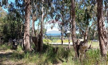 Inversión Única en Alto Punta de Lobos