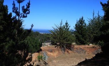 Inversión Única en Alto Punta de Lobos