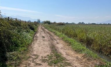 Sitio en Venta en LA MEJOR OPCION DE COMPRA TERRENO AGRICOLA EN PLACILLA