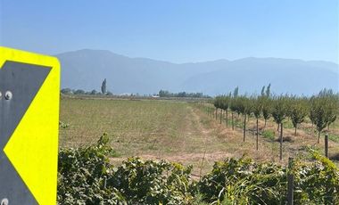 Sitio en Venta en LA MEJOR OPCION DE COMPRA TERRENO AGRICOLA EN PLACILLA