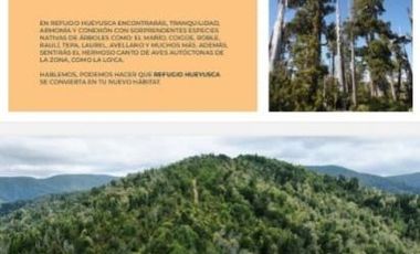 Parcela en Venta en Refugio hueyusca