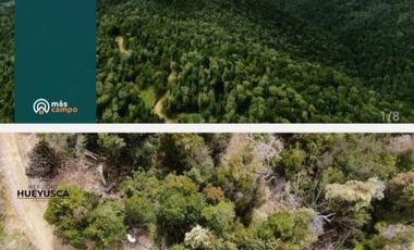 Parcela en Venta en Refugio hueyusca