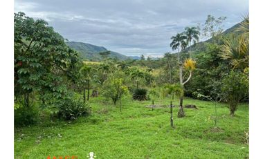 CASA FINCA EN VENTA – 579,62 M² CONSTRUIDOS EN CISNEROS, ANTIOQUIA
