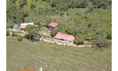Finca en Venta – Yolombó, Antioquia
