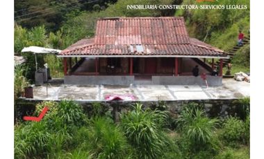 Se Vende Finca en el Corregimiento de Santiago