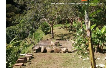 Se Vende Finca en el Corregimiento de Santiago