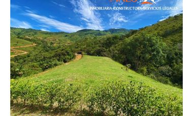 PARCELACIÓN LA SOÑADORA – CISNEROS, ANTIOQUIA