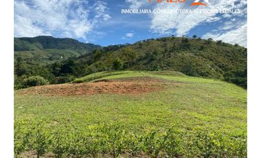 PARCELACIÓN LA SOÑADORA – CISNEROS, ANTIOQUIA