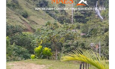 FINCA EN VENTA DE 3.350 M² – SAN ROQUE, ANTIOQUIA