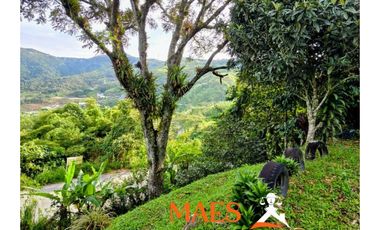 FINCA EN VENTA DE 1.912 M², CORREGIMIENTO DE SANTIAGO