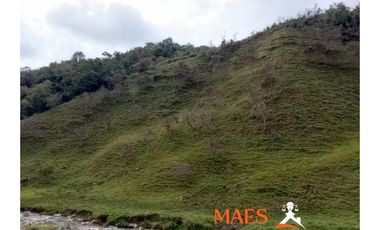 Venta de Propiedad en Santo Domingo, Antioquia