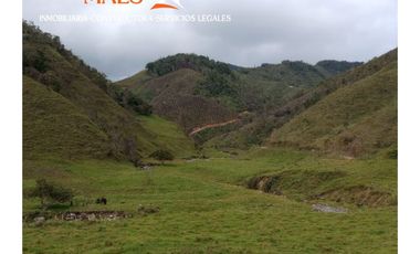 Venta de Propiedad en Santo Domingo, Antioquia