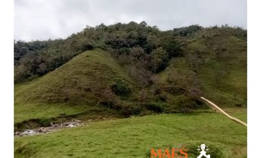 Venta de Propiedad en Santo Domingo, Antioquia