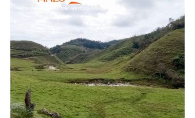 Venta de Propiedad en Santo Domingo, Antioquia