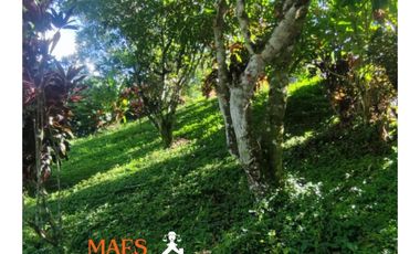 Finca en venta, Vereda El Silencio