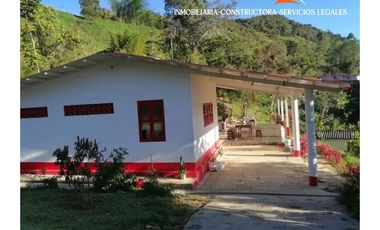 Finca en venta – Vereda Los Planes, Santo Domingo (Antioquia)