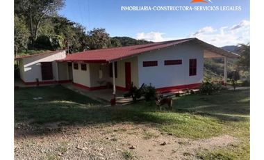 Finca en venta – Vereda Los Planes, Santo Domingo (Antioquia)