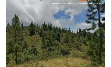 Finca en venta – Vereda Los Planes, Santo Domingo (Antioquia)