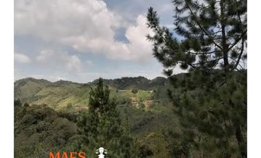 Finca en venta – Vereda Los Planes, Santo Domingo (Antioquia)