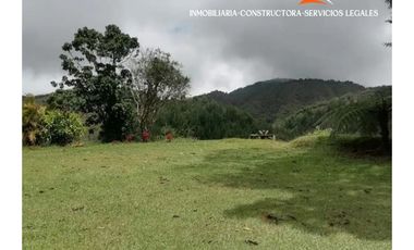 Finca en venta – Vereda Los Planes, Santo Domingo (Antioquia)