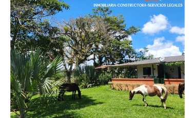 Finca en Venta – Yolombó, Antioquia